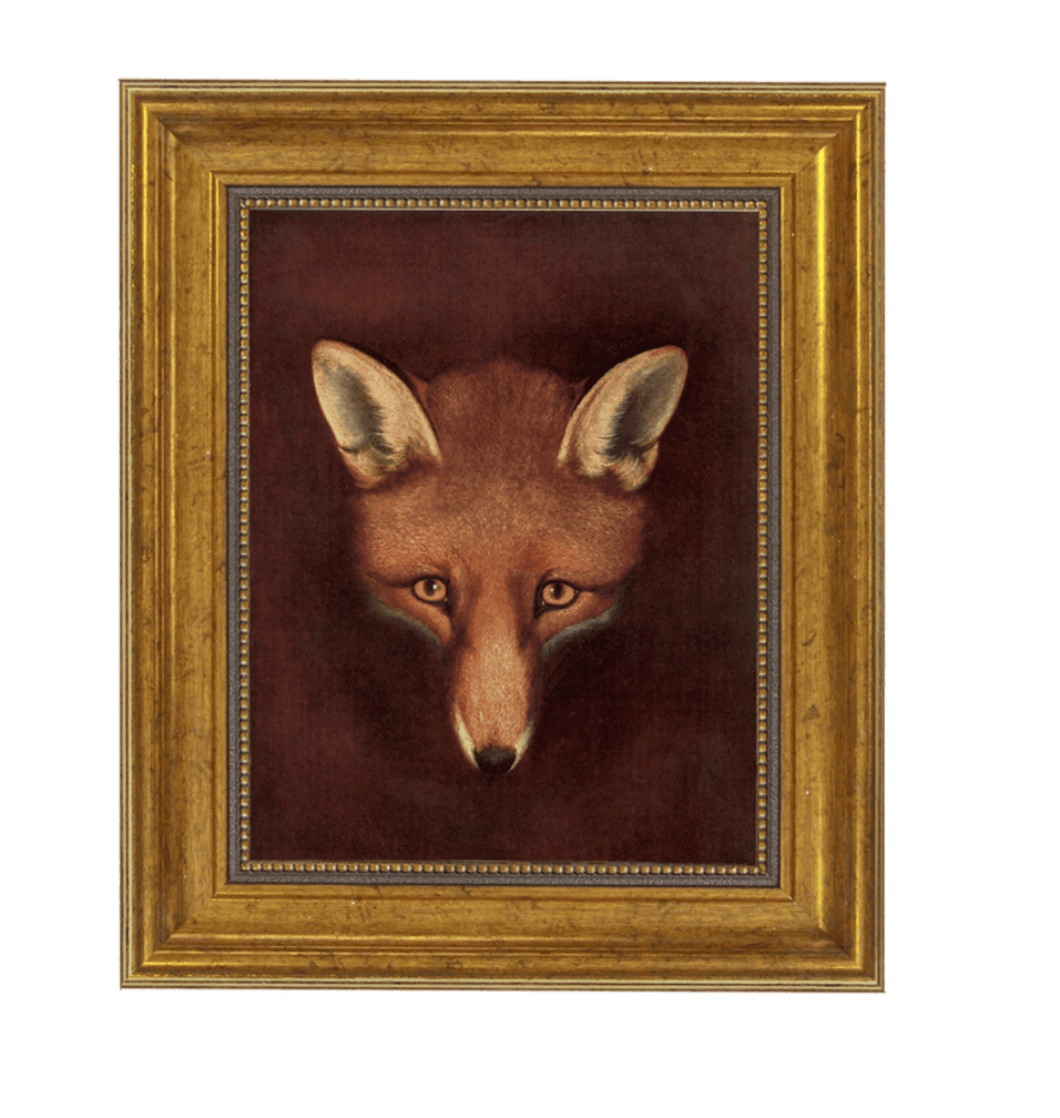 Reynard the Fox - A Fox for All Seasons