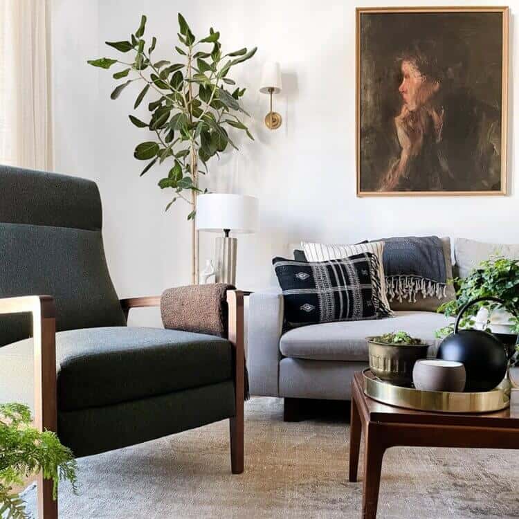 Ficus Audrey in the corner of a room.