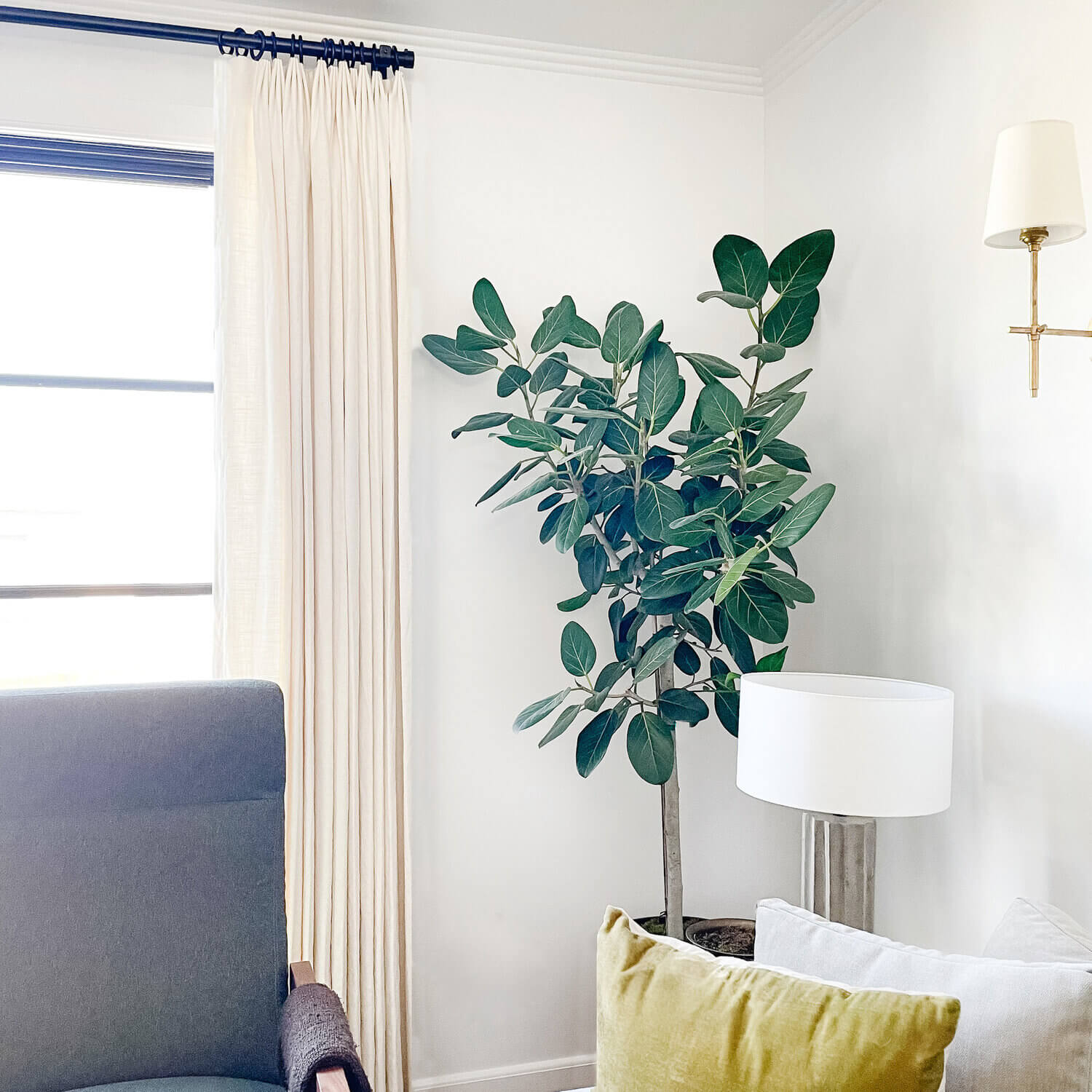 Curtain Rod + Rings Dupe / Ficus Audrey Tree / Wall Sconce / Lamp / Throw Pillow / Recliner / Couch