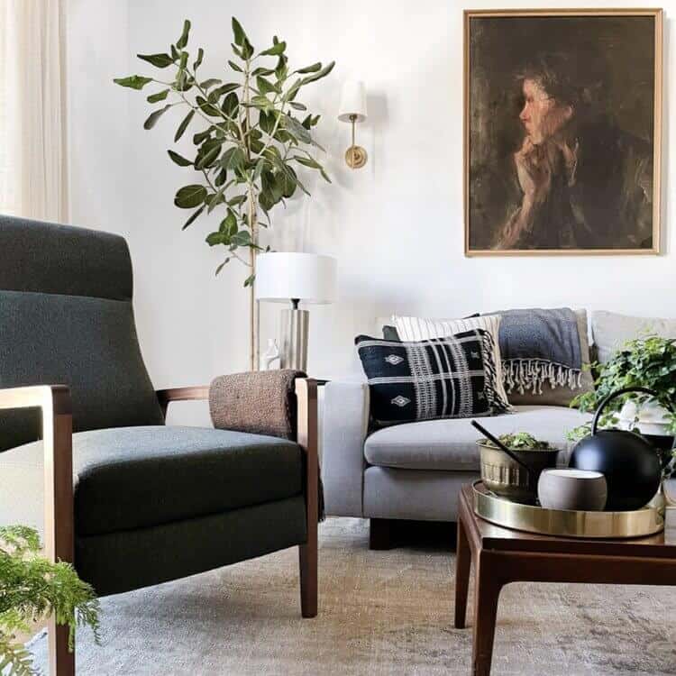 Plant in the corner of a bright living room.