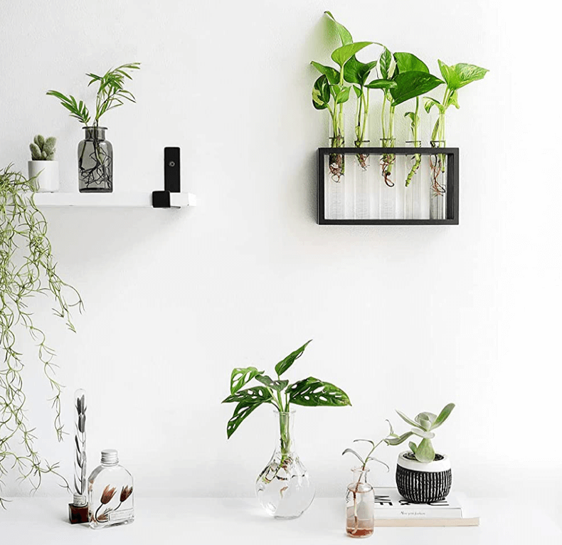 Modern Propagation Station