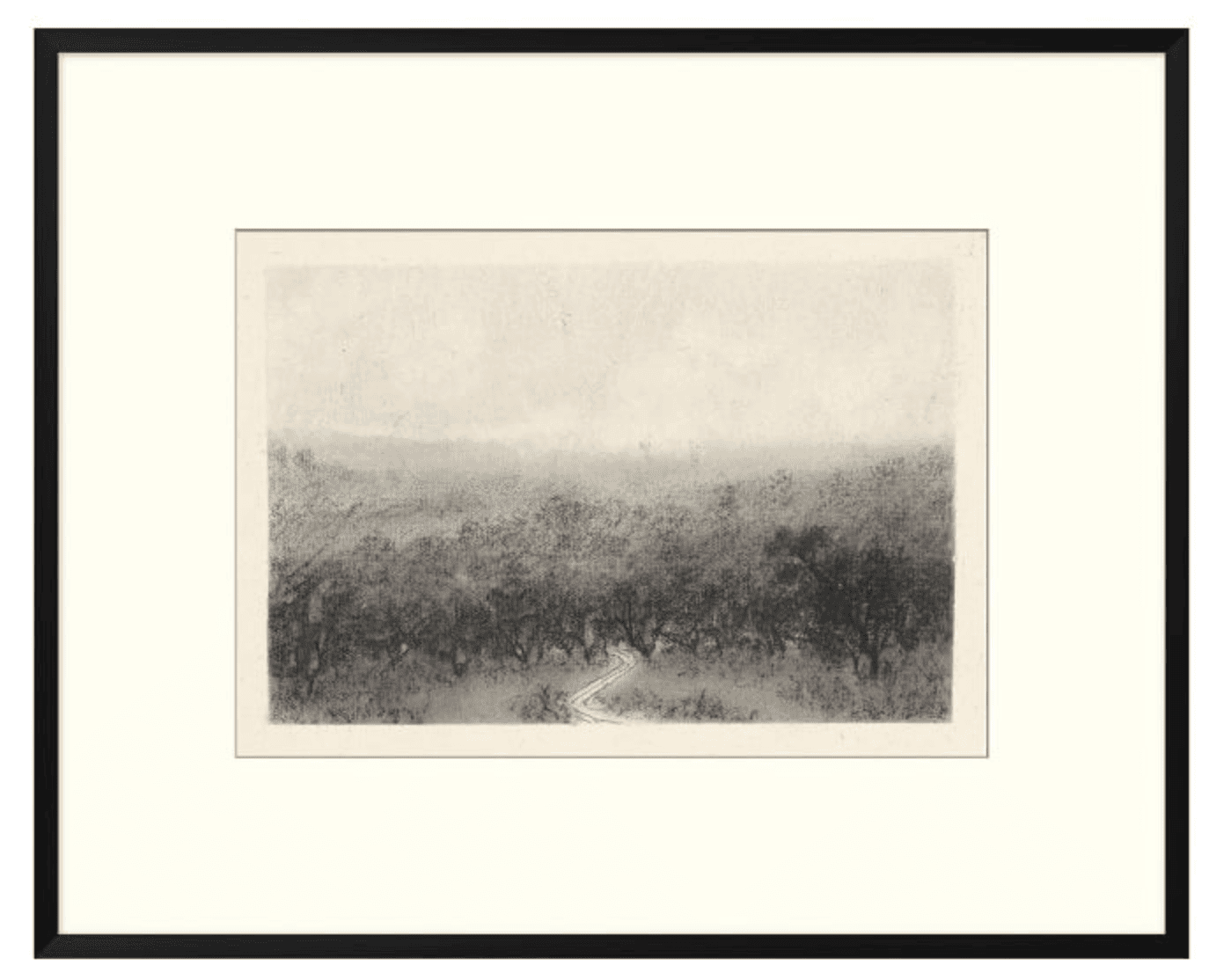 Framed forest print.