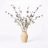 Click for more info about 7.5" x 4" Artificial Berry Plant Arrangement in Ceramic Vase - Threshold™ designed with Studio ...