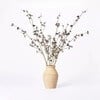 Click for more info about 7.5" x 4" Artificial Berry Plant Arrangement in Ceramic Vase - Threshold™ designed with Studio ...