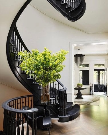 large plant near a black spiral staircase.
