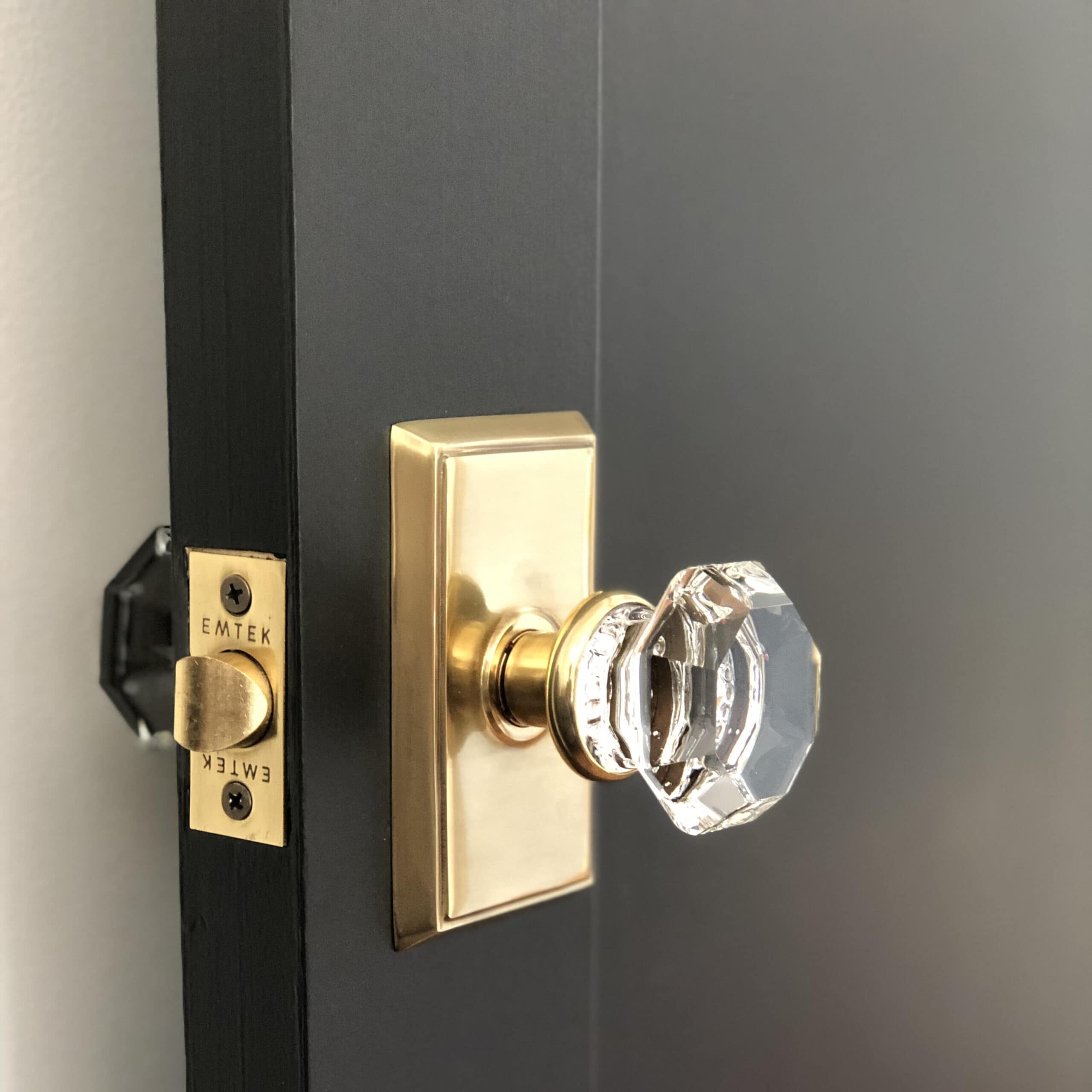 Sherwin Williams tricorn black paint and brass door hardware