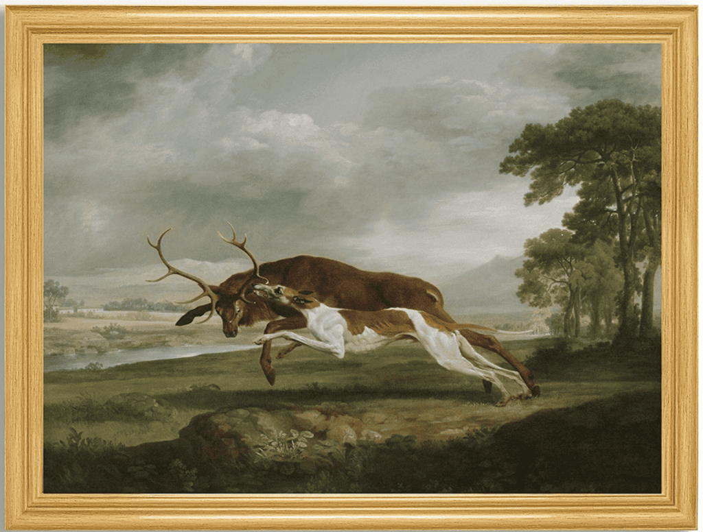 Framed picture of a dog and prey.