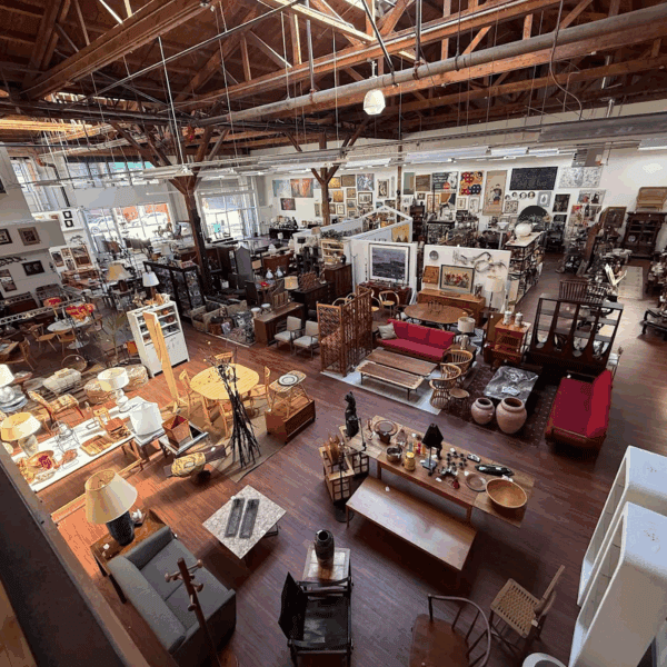 best thrift store san francisco
