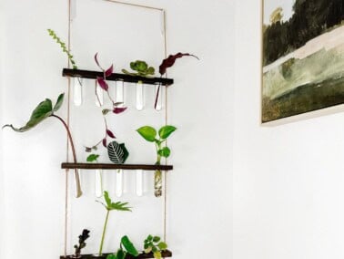 Propagation Station Link