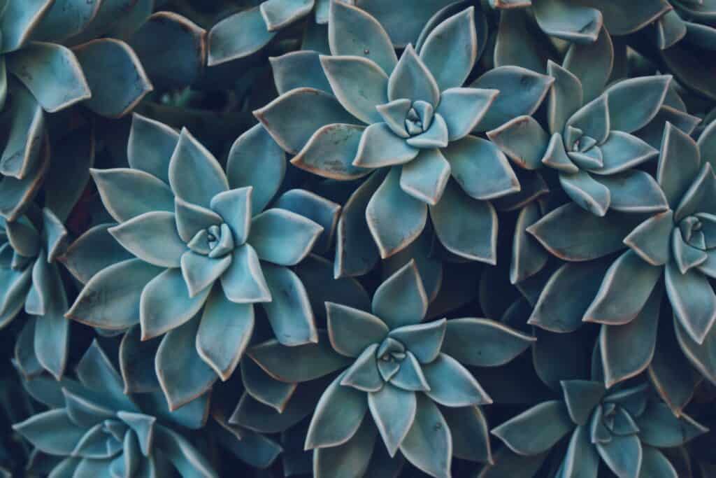 Blanca Paloma Sanchez AvfTRF9QINM Unsplash 1024x683