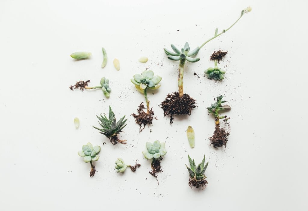 Corinne Kutz 7ZtPwmSKj6U Unsplash 1024x704