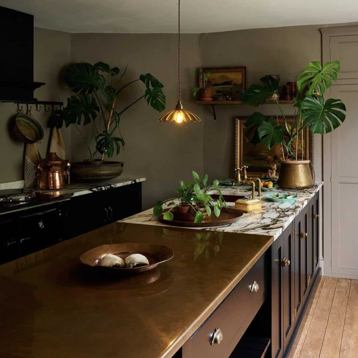 Countertop with lots of plants.