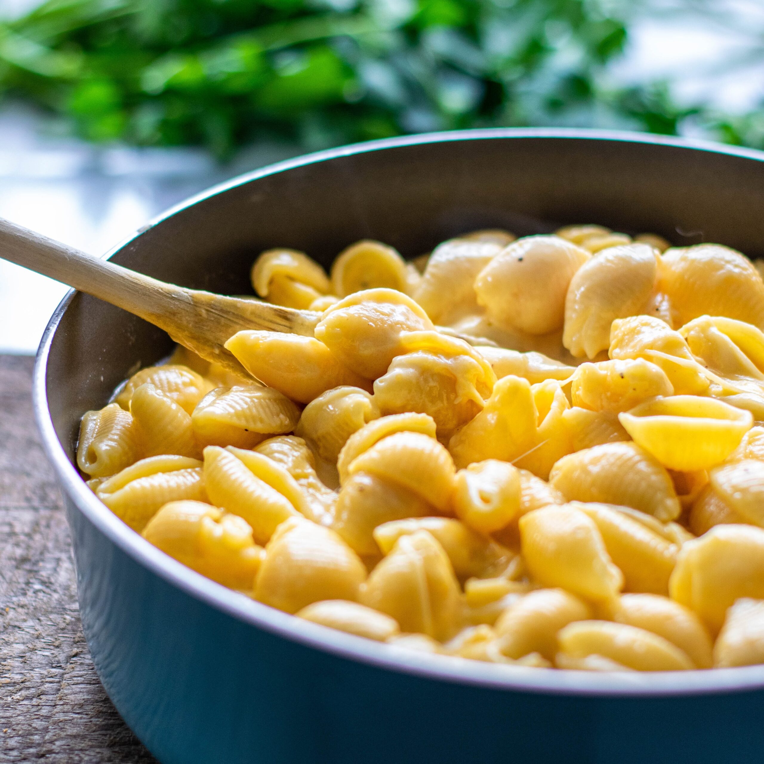 smoked macaroni and cheese recipe