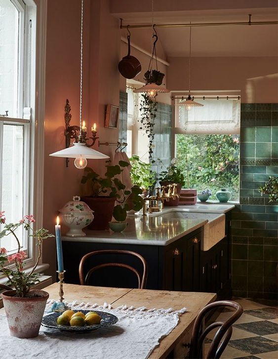 Kitchen Hanging Plants