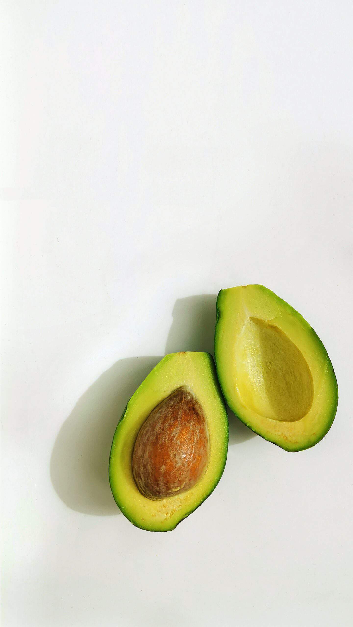  how to grow an avocado seed avocado fruit