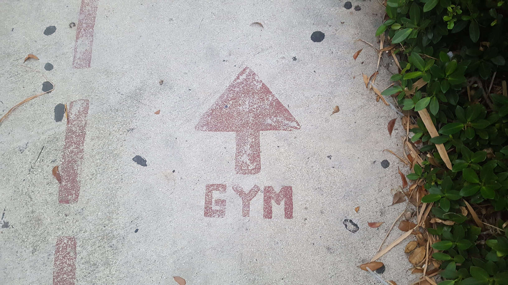 gym