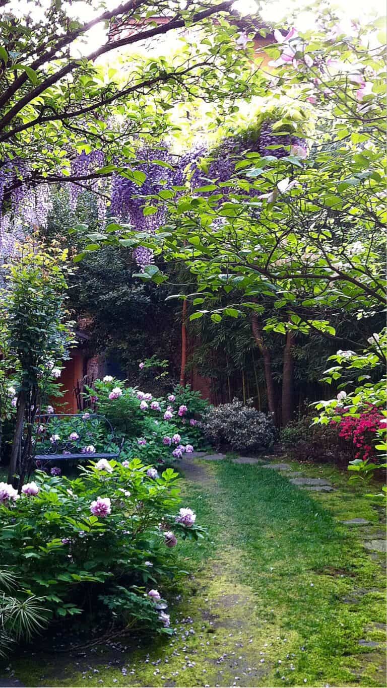 The Best Gardening Ideas for Side of House | 136 home