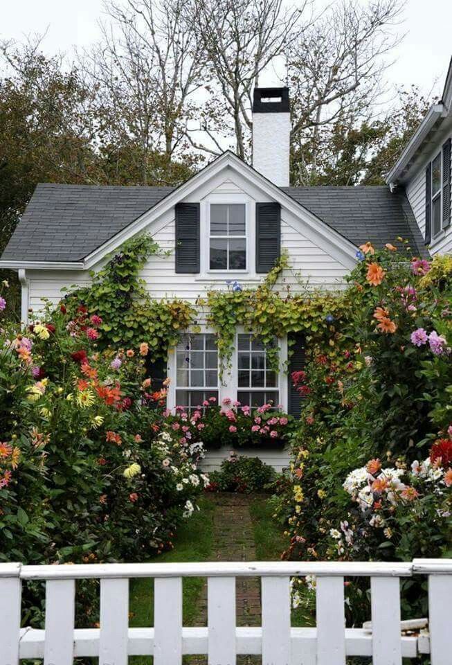 gardening ideas for side of house exterior yard