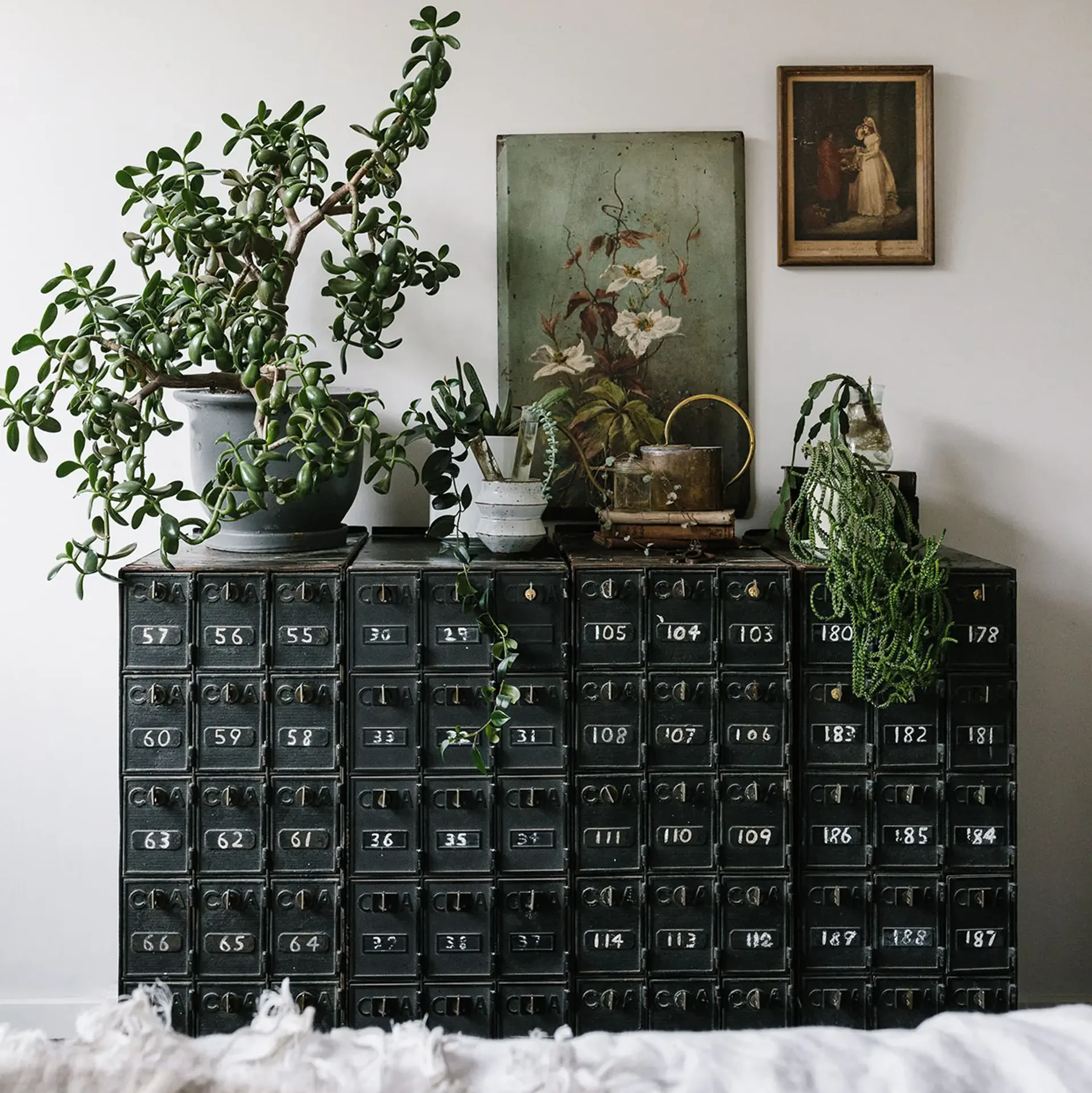 how to decorate living room with plants cabinet