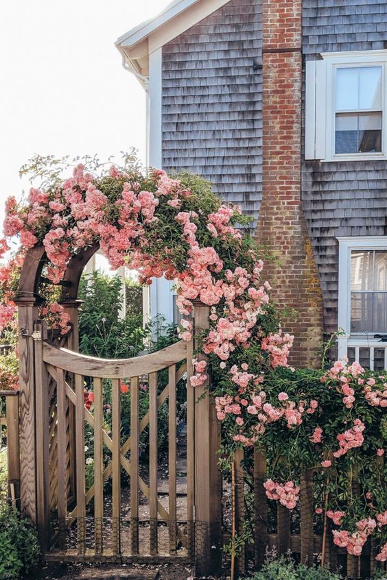 how to keep roses alive forever arch