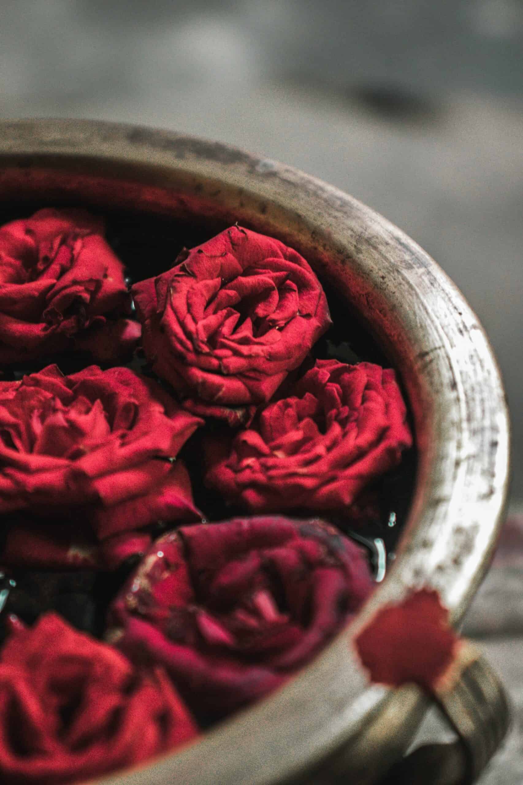 Red roses floating in a bowl.