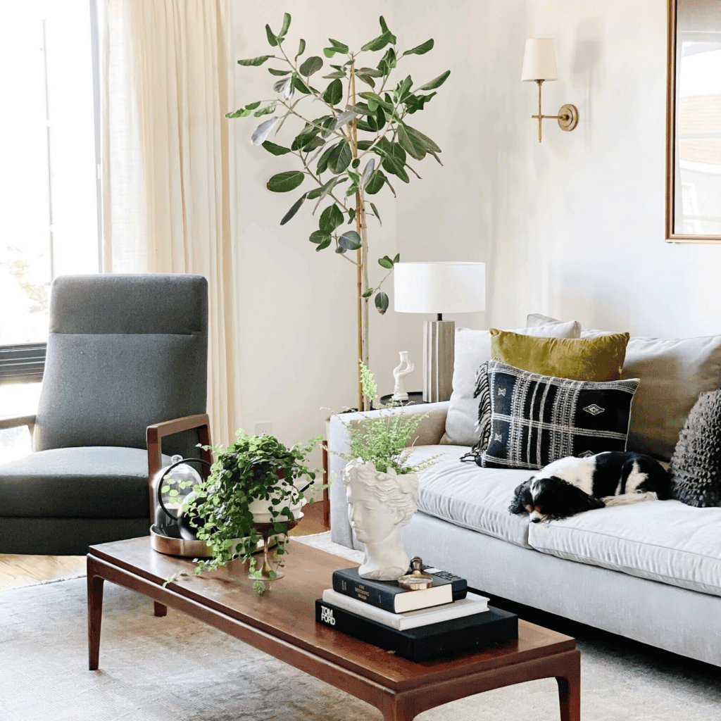 Bright room with a dog lying on a sofa.