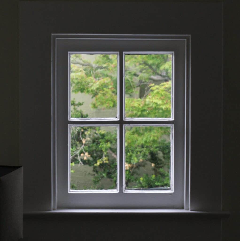 Four-paned window looking out onto a green tree.
