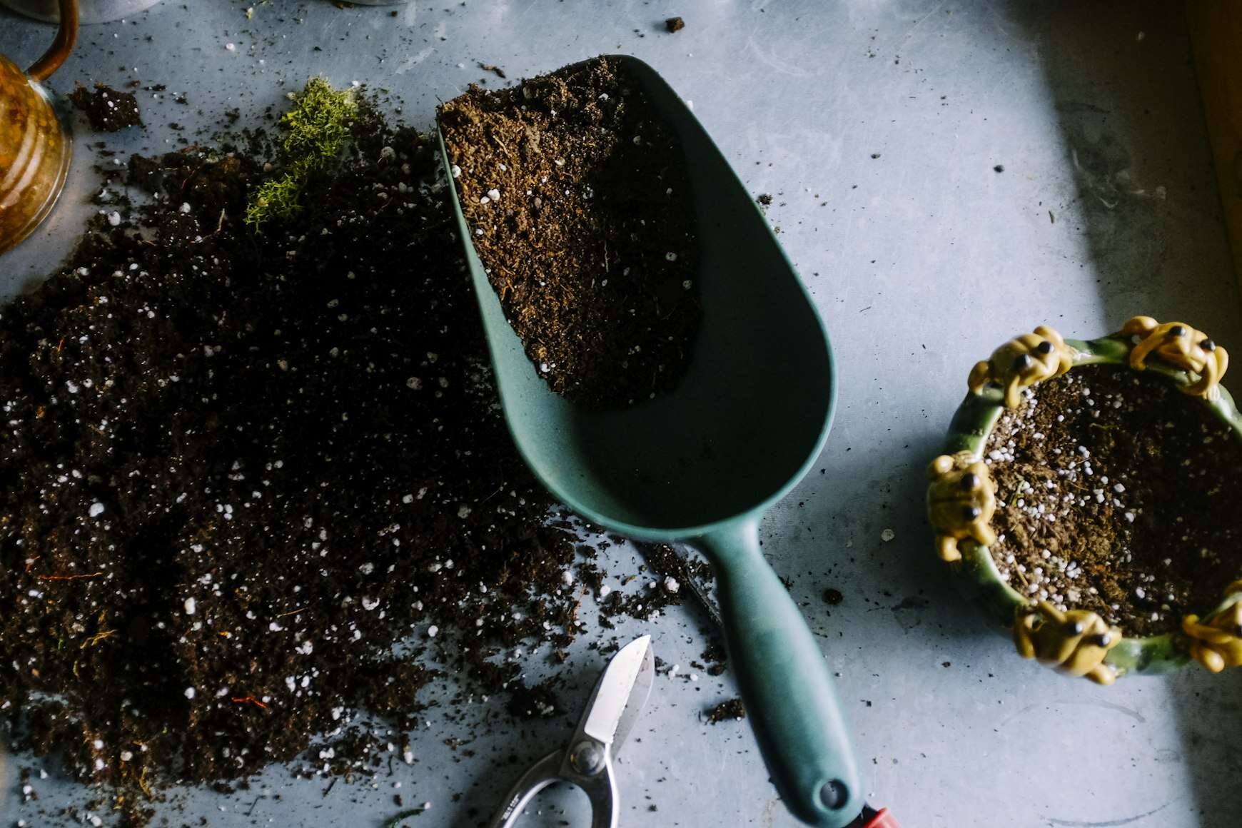best soil for pothos.