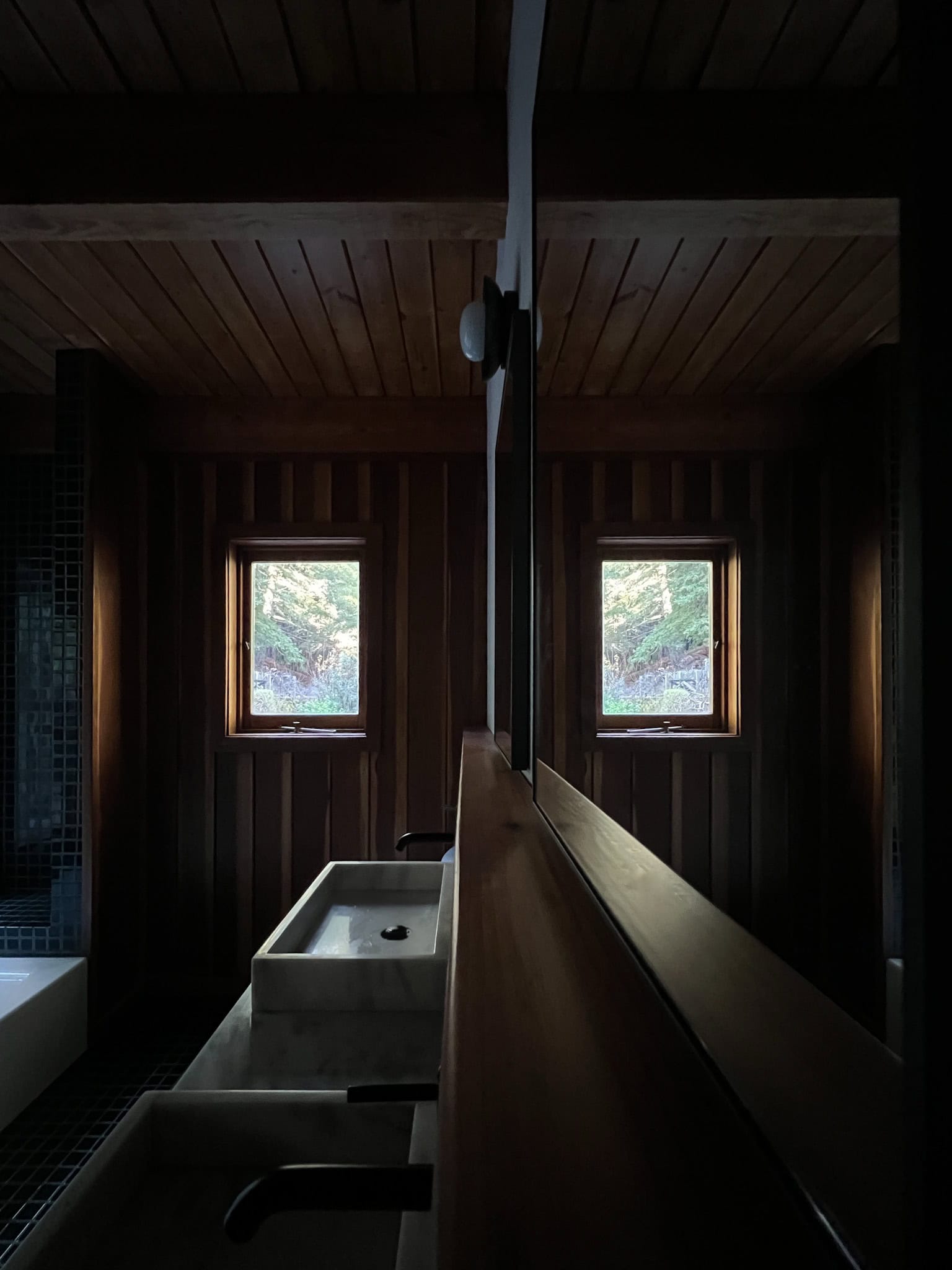dark view of the bath with the picture window reflecting in the new cb2 medicine cabinet.