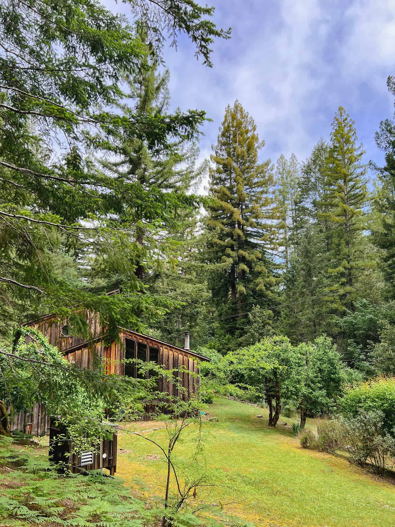 a cabin in the green forest with proper insulation that is heating a efficiently.